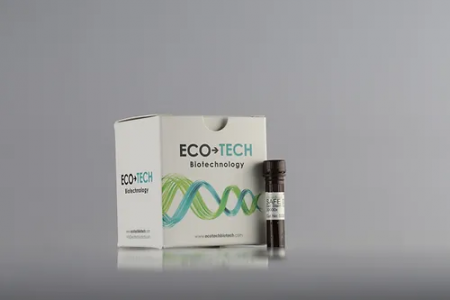 ECOSDGS1 ClearBand DNA 20,000x 核酸安全染劑 (1 mL)